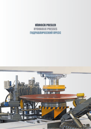 Sahinler Metal DEP 300 Hydraulic Dish End Press Technical Specifications